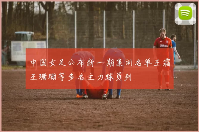 中国女足公布新一期集训名单王霜王珊珊等多名主力球员列
