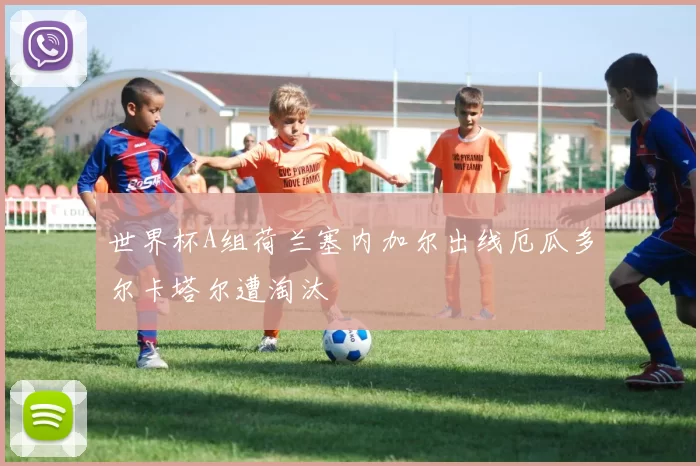 世界杯A组荷兰塞内加尔出线厄瓜多尔卡塔尔遭淘汰