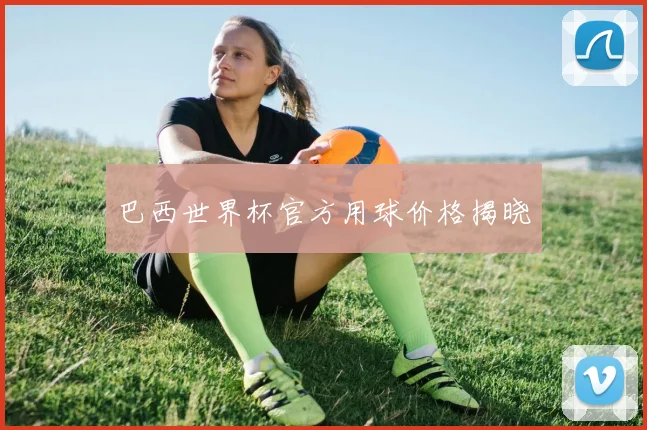 巴西世界杯官方用球价格揭晓