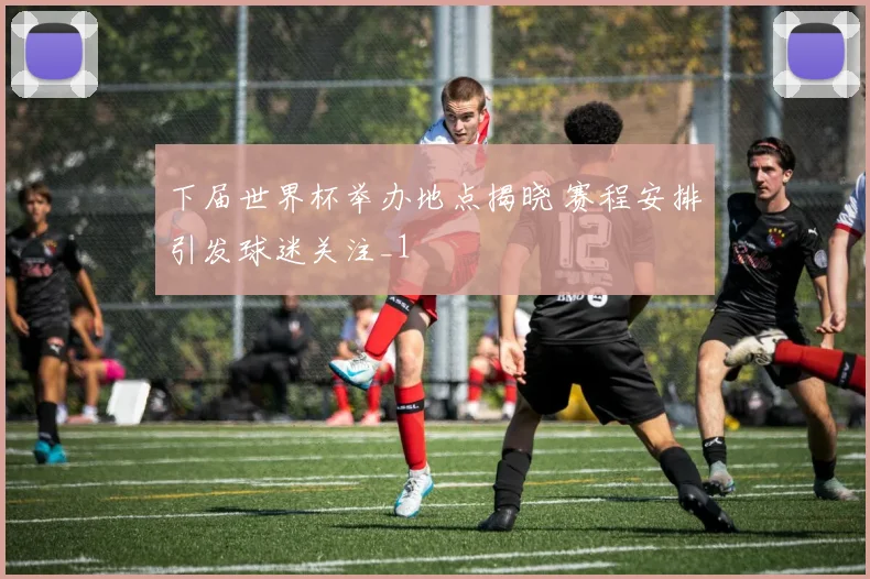 下届世界杯举办地点揭晓 赛程安排引发球迷关注_1