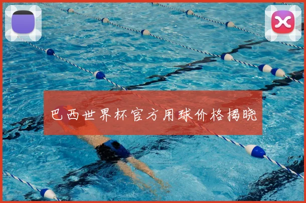 巴西世界杯官方用球价格揭晓