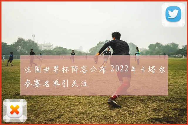法国世界杯阵容公布 2022年卡塔尔参赛名单引关注