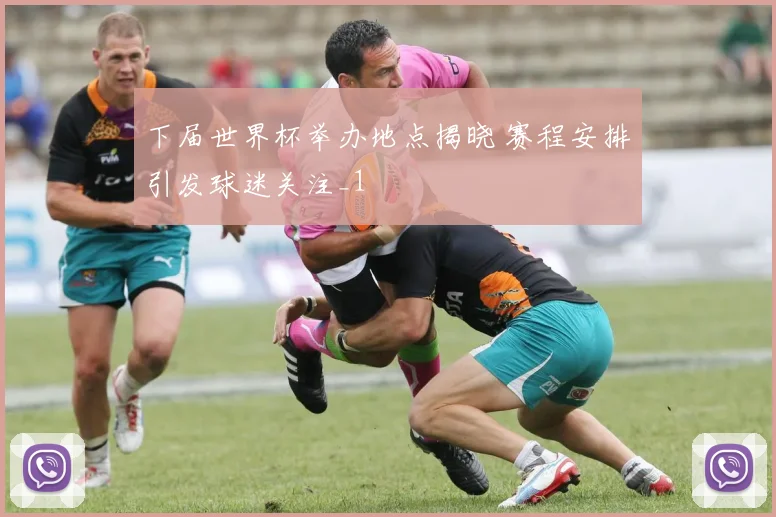下届世界杯举办地点揭晓 赛程安排引发球迷关注_1